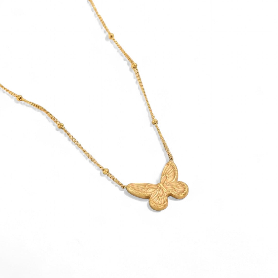 Collar Aroa